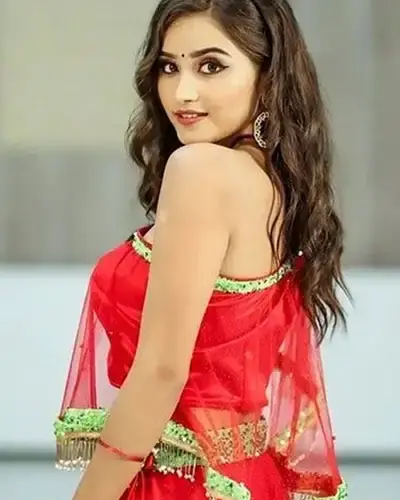 Escort In Washim